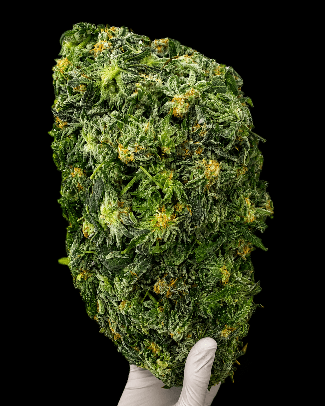 Grape God flower brick