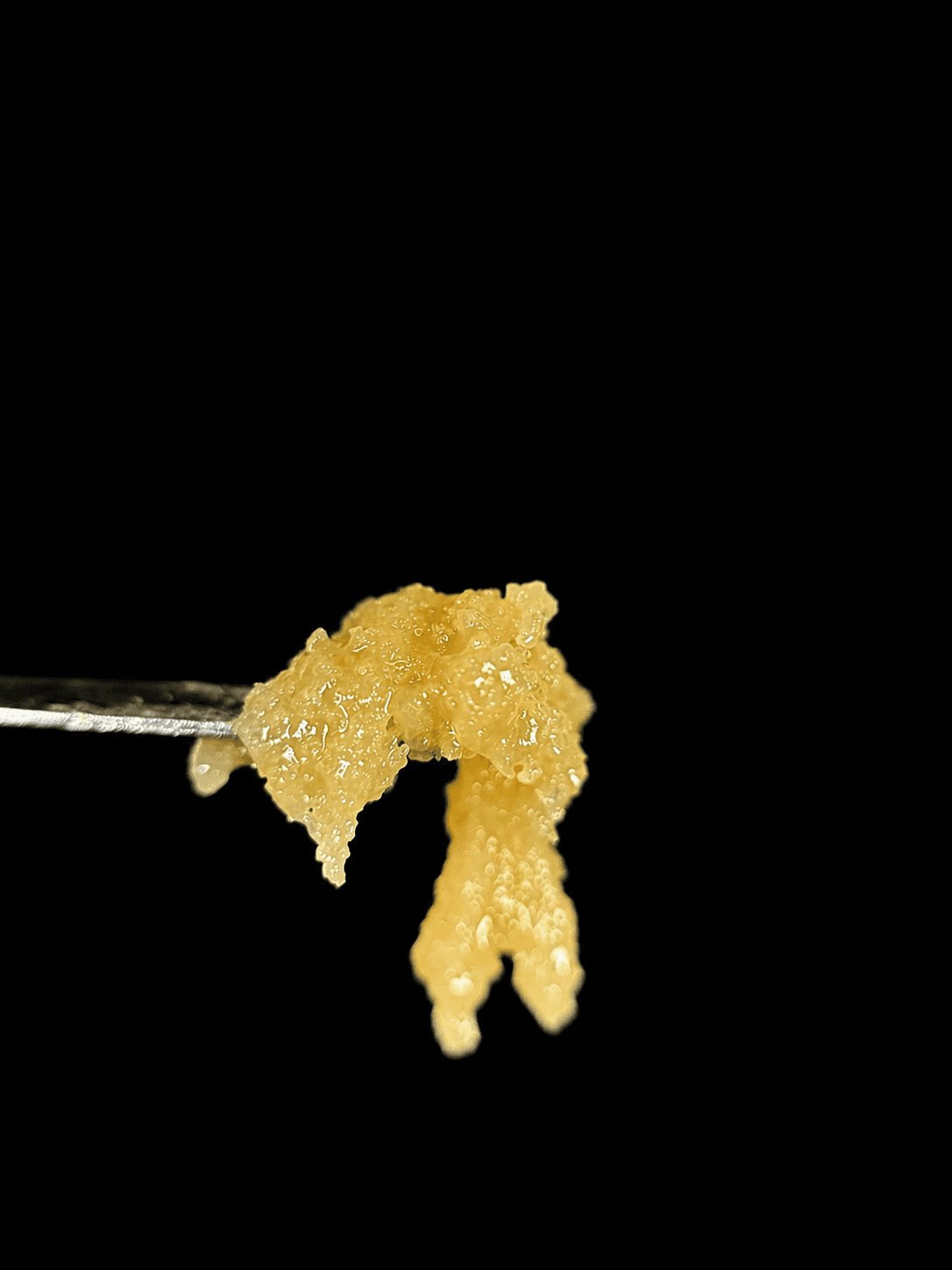 Grape God Product